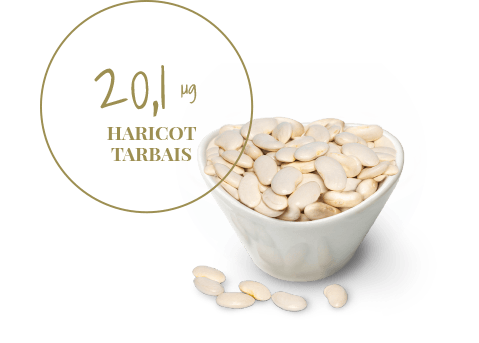 haricot tarbais 20μg de vitamine b9