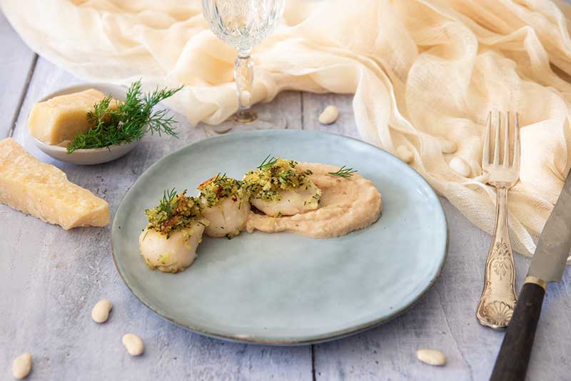 Recette St jacques gratinées et crème de haricots tarbais